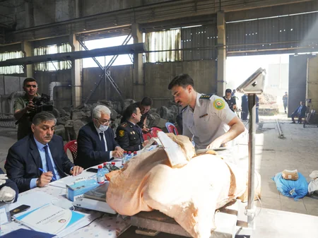 DSX tərəfindən müsadirə olun 395 kiloqram narkotik məhv edilib