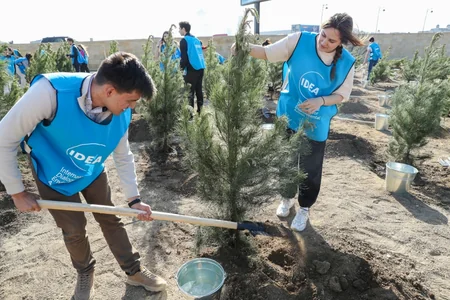 Tree-planting campaign held in Baku