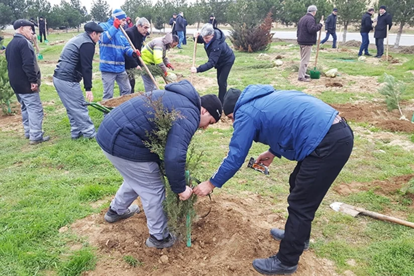DTX əməkdaşları ağacəkmə aksiyası keçiriblər