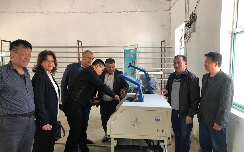 Çindən Azərbaycana 20 min qutu hibrid ipəkqurdu sənaye toxumları gətirilib