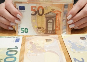 В Болгарии прошли протесты против смены национальной валюты на евро