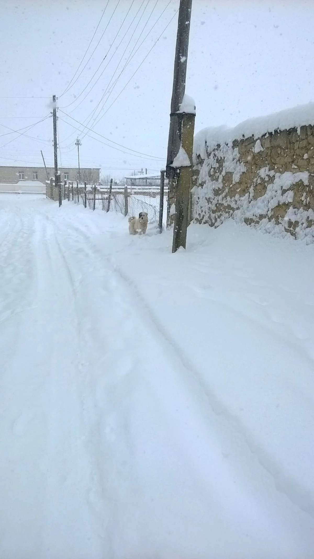 Qobustan rayonunun dağ kəndləri ilə əlaqə kəsilib