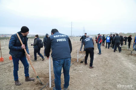 Report News Agency takes part in tree planting campaign - VIDEO