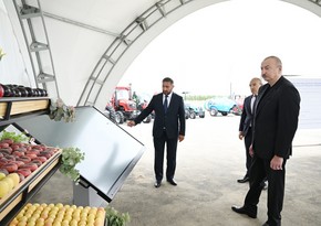 Президент Ильхам Алиев принял участие в открытии Евлахского пилотного агропарка