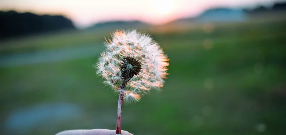 Bakıda və rayonlarda külək güclənəcək