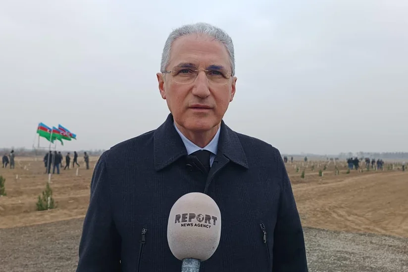 Ecology Minister: Increasing greenery is key to absorbing atmospheric emissions