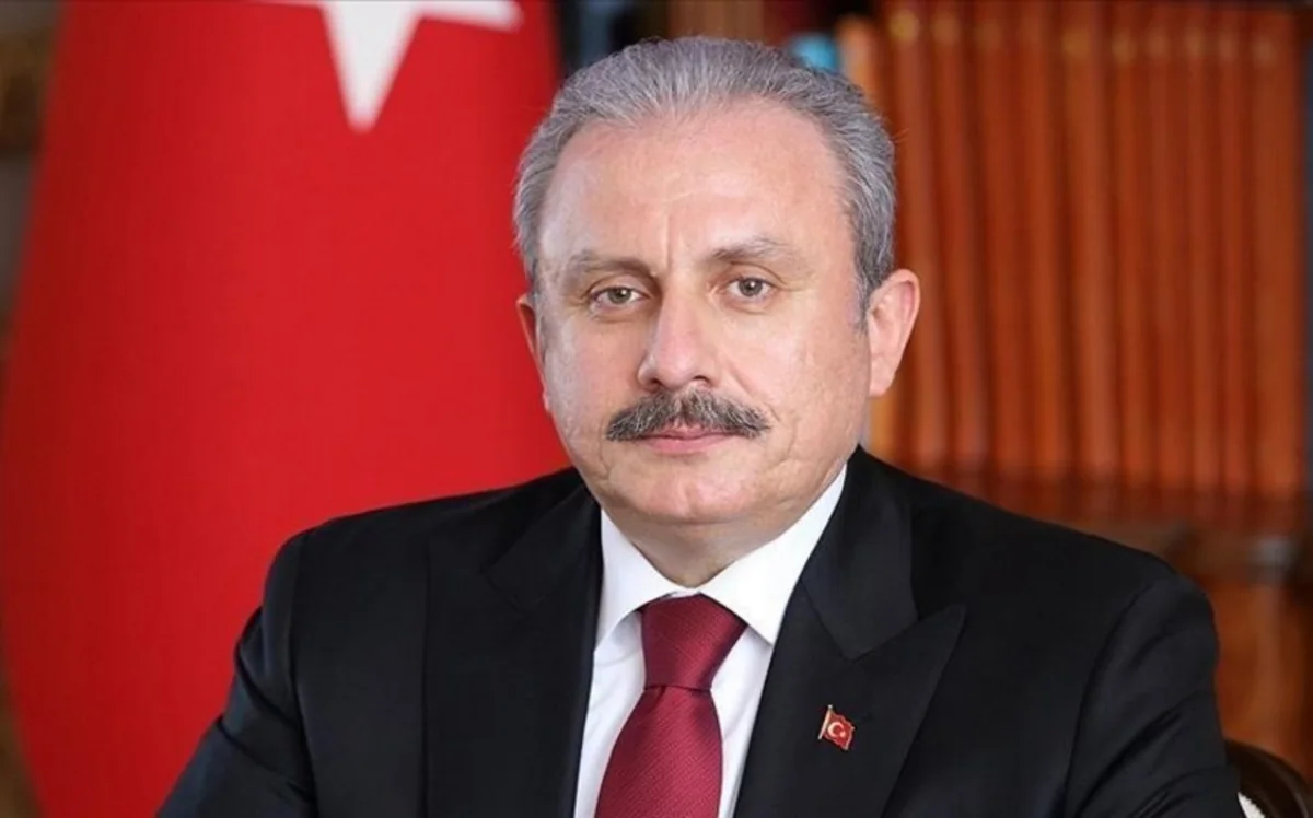 Mustafa Sentop: We will accelerate our work for peace in region