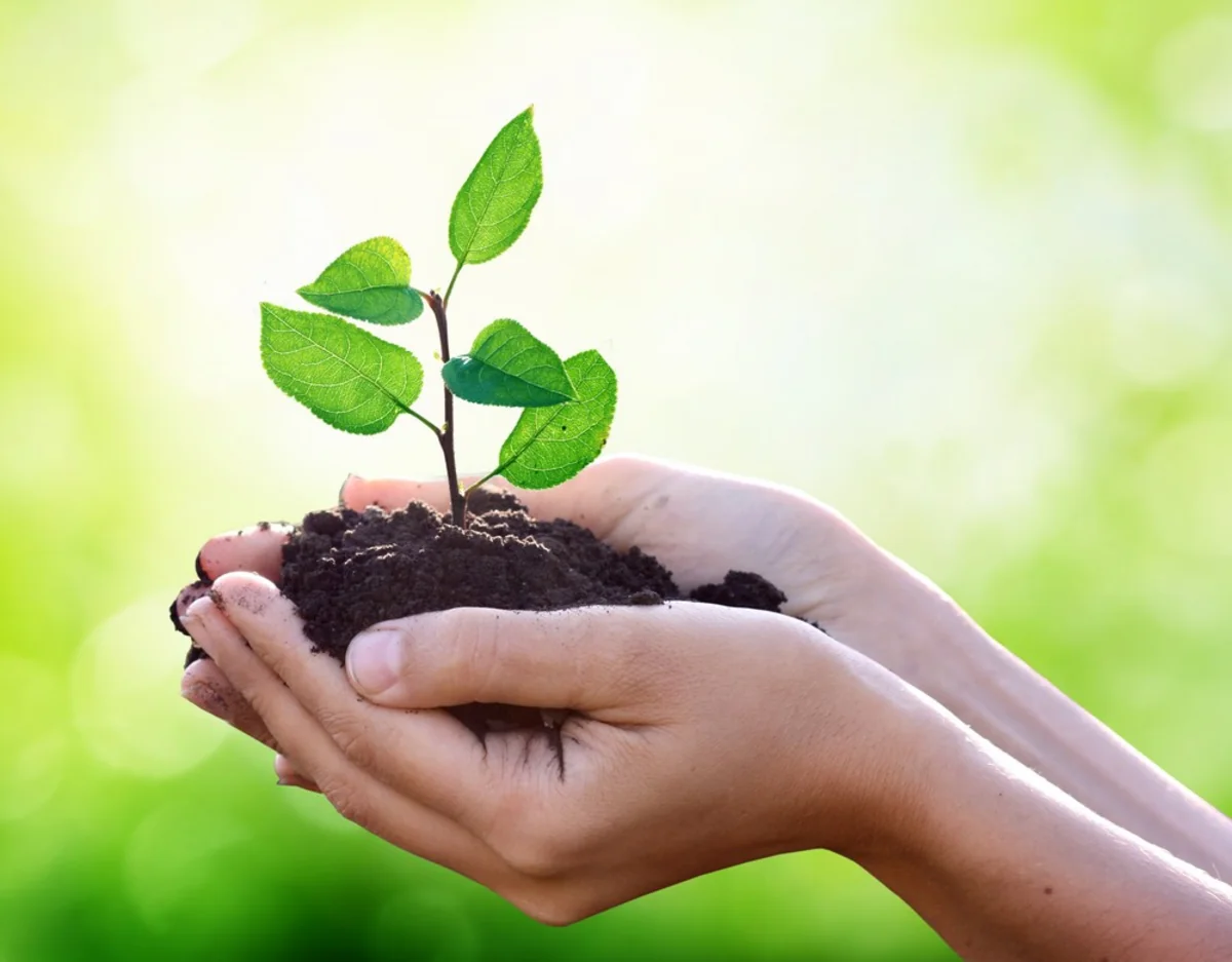 Azərbaycanda hazır məhsula görə verilən subsidiyanın siyahısı genişləndirilə bilər