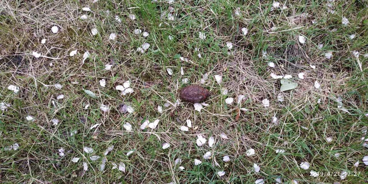 Lənkəranda əl qumbarası aşkarlanıb - FOTO