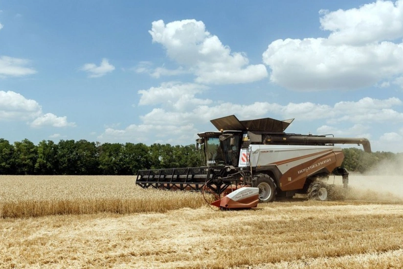 Göygöldə dənli paxlalı bitkilərin istehsalı artıb