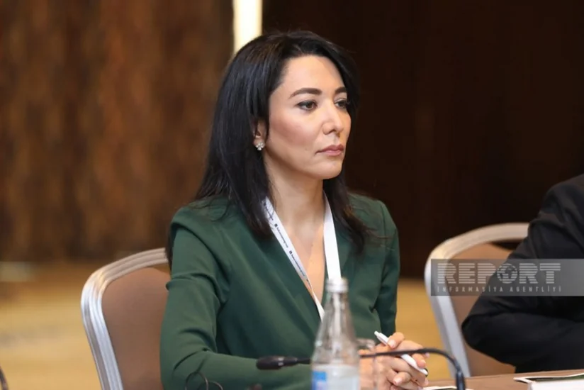 Ombudsman: İkinci Qarabağ müharibəsindən bu günədək 370-dən çox insan mina qurbanına çevrilib