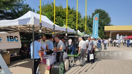 Şəkidə Aqrar İnnovasiya Festivalı və toxum yarmarkası keçirilib