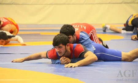 Azərbaycanın olimpiya mükafatçıları Qızıl Qran Pri turnirində iştirak etməyəcək