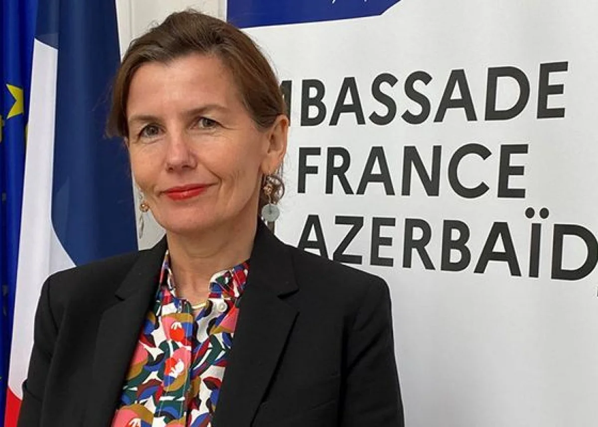 Səfiri geri çağırması Fransanın Azərbaycana qarşı qərəzli siyasətinin daha bir sübutudur - RƏY