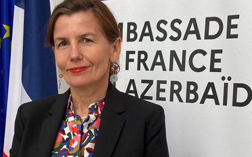 Səfiri geri çağırması Fransanın Azərbaycana qarşı qərəzli siyasətinin daha bir sübutudur - RƏY
