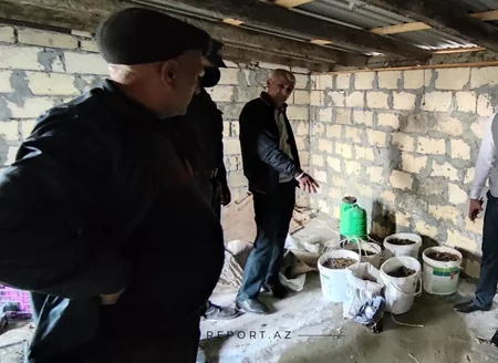 Kürdəmir sakinindən külli miqdarda narkotik götürülüb