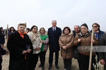 Проведена акция по высадке деревьев по случаю 100-летнего юбилея Гейдара Алиева