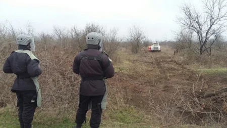 Cocuq Mərcanlıda 1 402 ədəd qəlpə aşkarlanıb