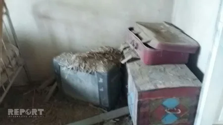 Дома, разрушенные в Тертерском районе, будут восстановлены за государственный счет - ФОТО - ВИДЕО