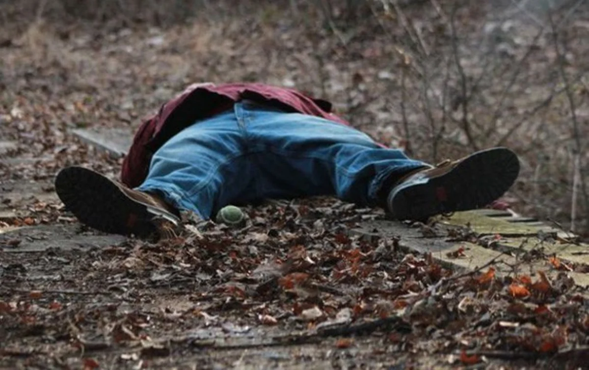 Zaqatalada çoban dərəyə yıxılaraq ölüb - YENİLƏNİB