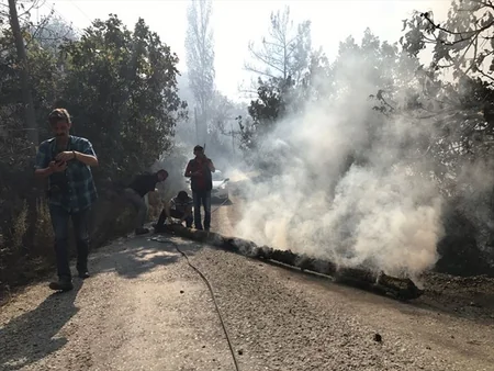 В Турции произошел лесной пожар, сгорели около 40 домов, есть пострадавшие - ФОТО