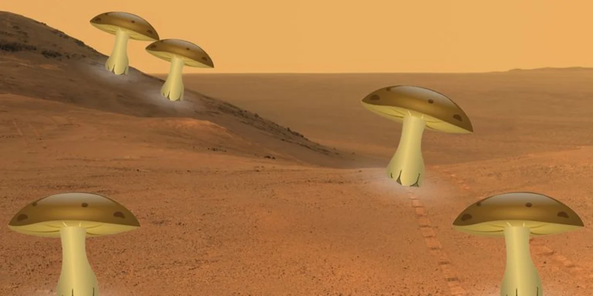 NASA: Mars habitats can live in Mushroom Houses