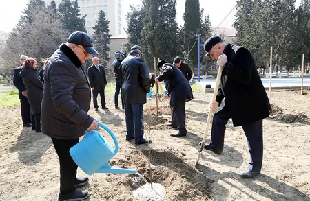 В НАНА заложен парк редких деревьев