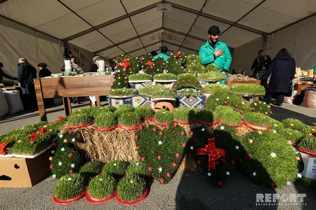Eldar Əzizov Novruz yarmarkasında olub - FOTO