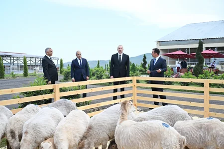 “Qoç Ət” Kəndli Fermer Təsərrüfatı MMC-nin Xocalının Xanabad kəndindəki heyvandarlıq kompleksinin açılışı olub - YENİLƏNİB
