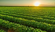 Azerbaijan sees nearly 2% growth in agricultural sector
