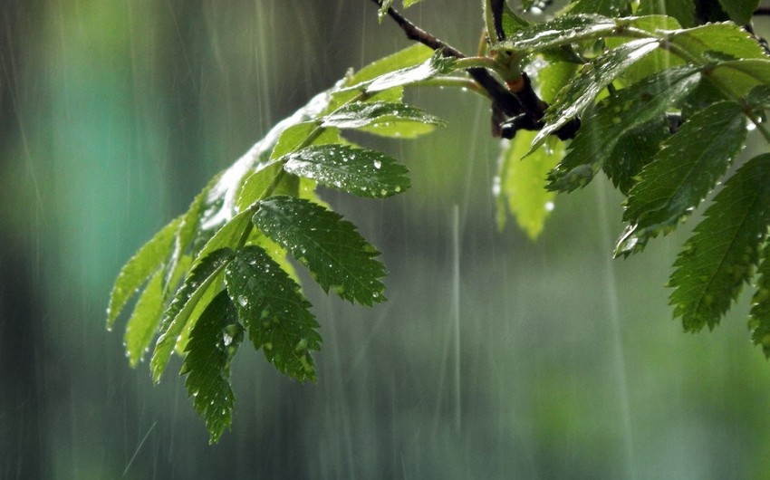 Weather in Azerbaijan will be unstable - WARNING