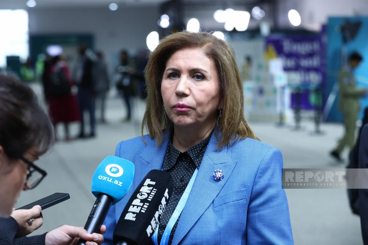 Bahar Muradova: Təbii fəlakətlər ölkələri tədbirlər görməyə vadar etməlidir