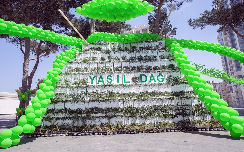 Kağız tullantıların toplanmasına həsr olunmuş növbəti “Yaşıldağ” sosial aksiyası keçirilib