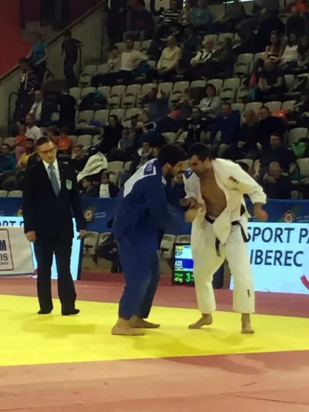 Azerbaijani judo fighters win 2 European medals