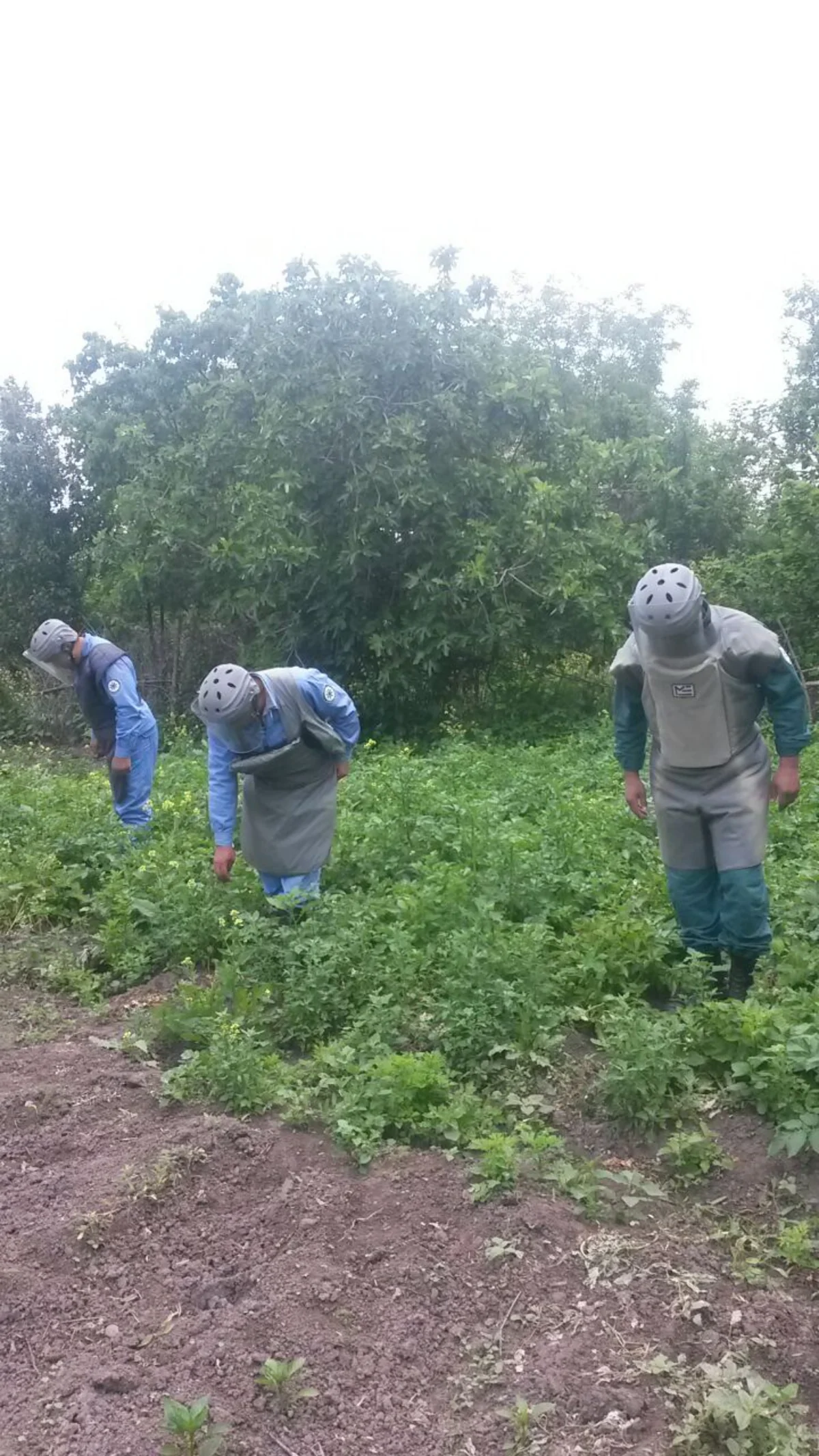 Tərtər icra nümayəndəliyinin həyətyanı sahəsində top mərmisi aşkar edilib