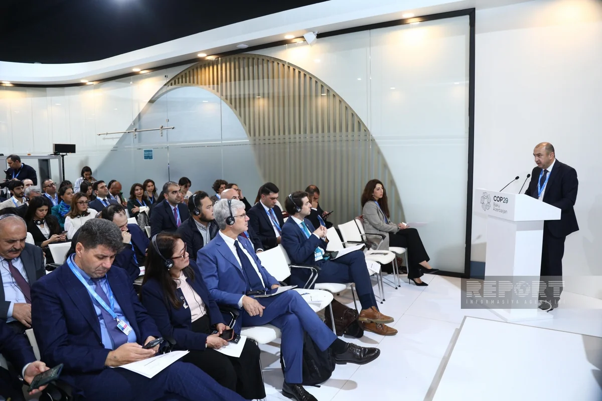 Gələn il Azərbaycanda Yaşıl Dünya naminə Əməkdaşlıq Dialoqu beynəlxalq konfransı keçiriləcək