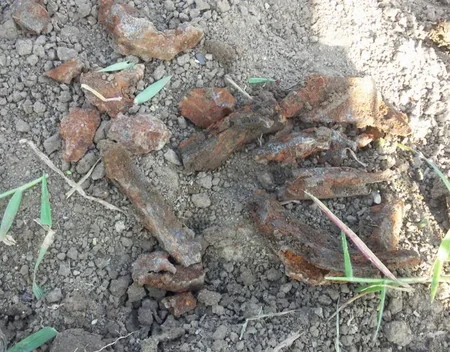 ​Ağdam və Tərtərdə partlamış hərbi sursatların qalıqları aşkarlanıb