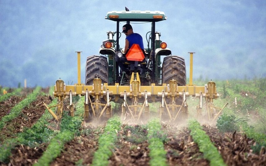 Azərbaycan Gürcüstandan traktor idxalını 2,7 dəfə azaldıb
