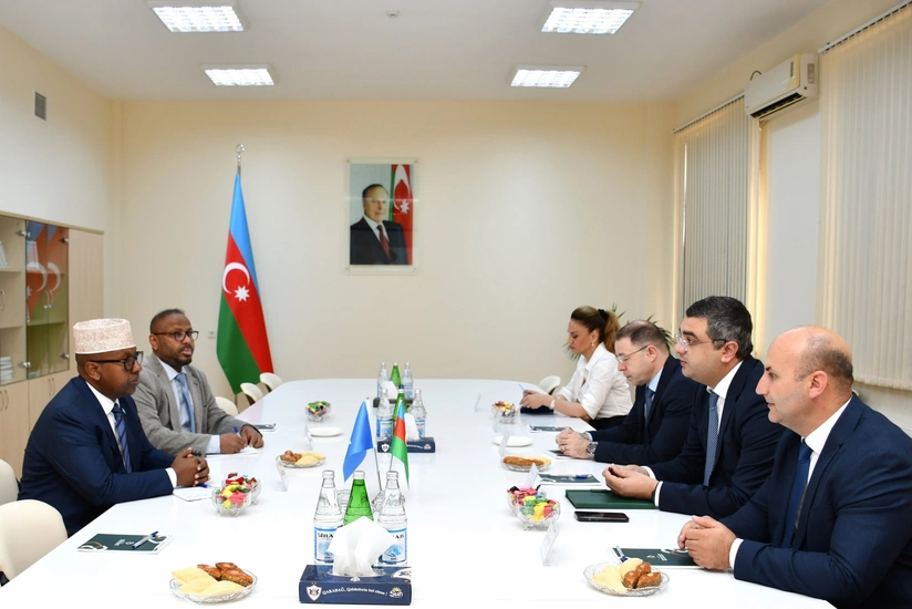 Somalinin naziri Sumqayıt Kimya Sənaye Parkında olub