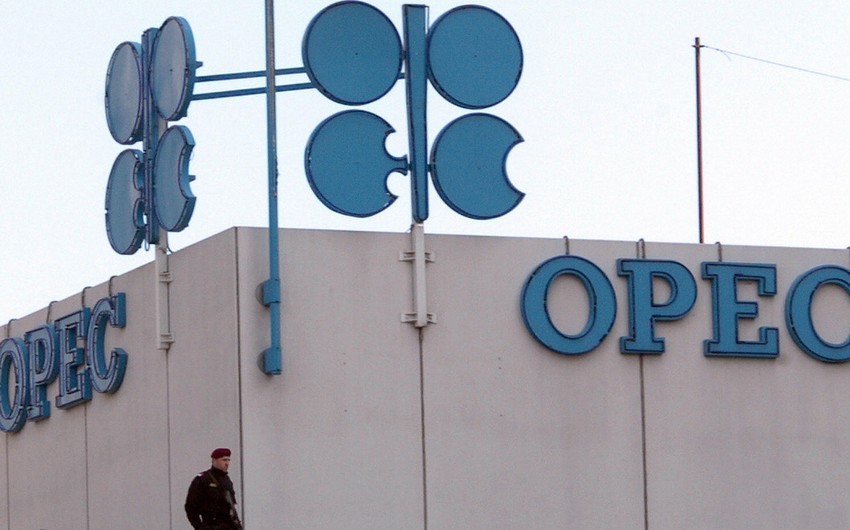 OPEC-in Monitorinq Komitəsinin iclası Rusiyada keçirilə bilər