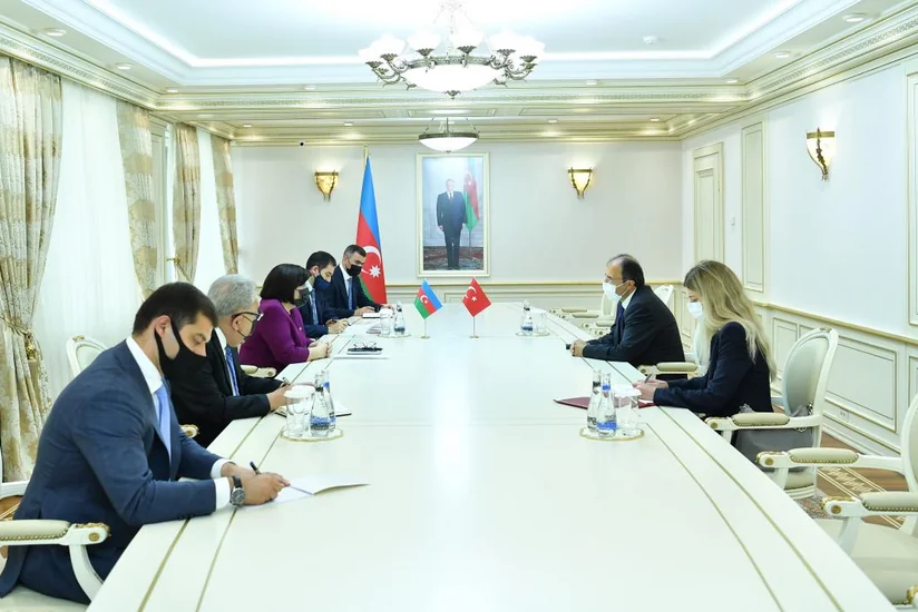 Milli Məclis Sədri Türkiyənin yeni səfiri ilə görüşüb