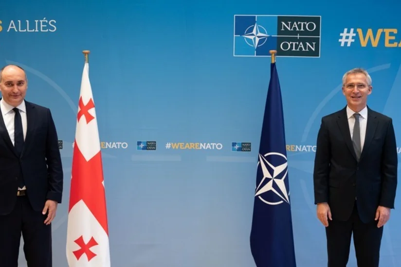 NATO-nun baş katibi Gürcüstanın müdafiə naziri ilə bölgədəki vəziyyəti müzakirə edib