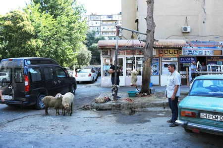 Uyğun olmayan heyvan kəsimi məntəqələrinin fəaliyyətini dayandırmaq üçün reydlərə başlanılıb