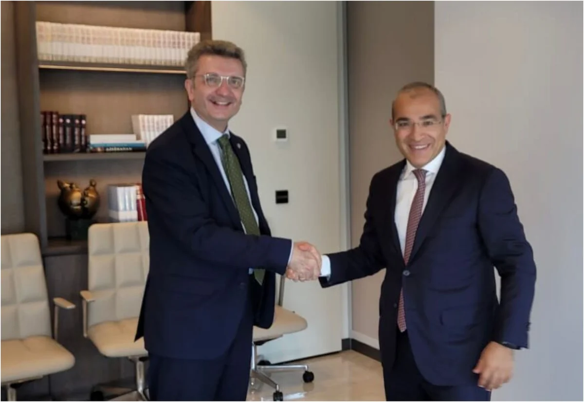 German envoy, Azerbaijani economy minister mull prospects for co-op development