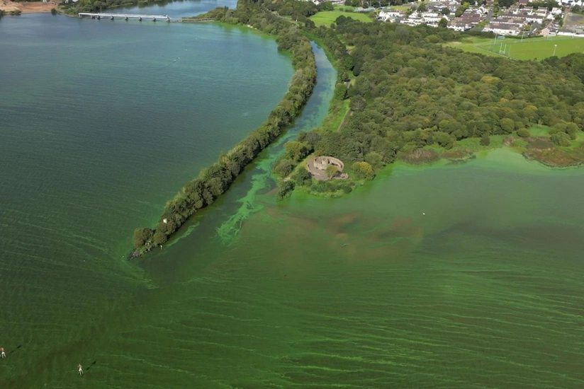 Largest lake in UK and Ireland being poisoned by toxic algae