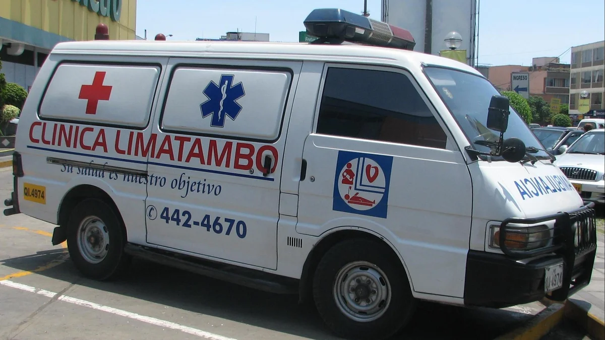 Peruda ilin əvvəlindən denge xəstəliyindən 200-dən çox insan ölüb