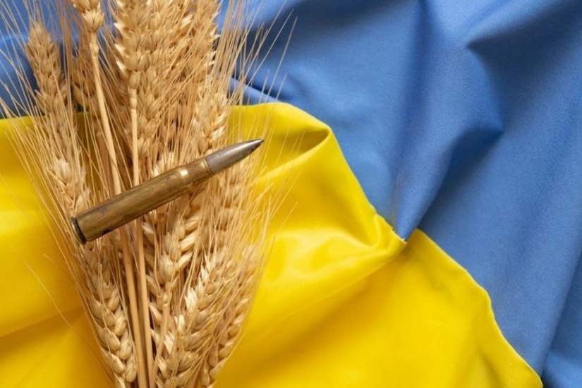 ФАО и Канада посодействуют Украине в решении проблемы дефицита зернохранилищ