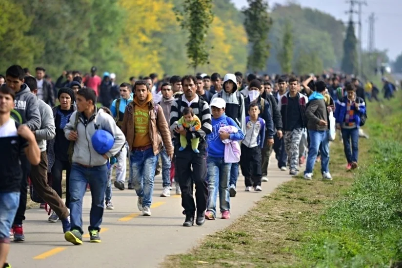 Miqrantların Avropada ən çox üz tutduqları ölkə məlum oldu