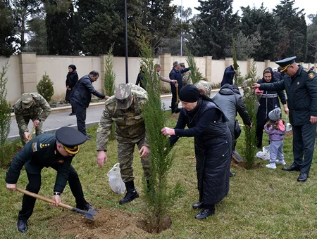 İkinci Şəhidlər xiyabanında növbəti ağacəkmə aksiyası keçirilib