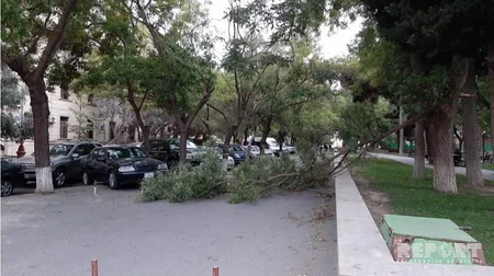Bakıda parkda ağacın budaqları qırılaraq attraksionların üstünə düşüb - FOTO